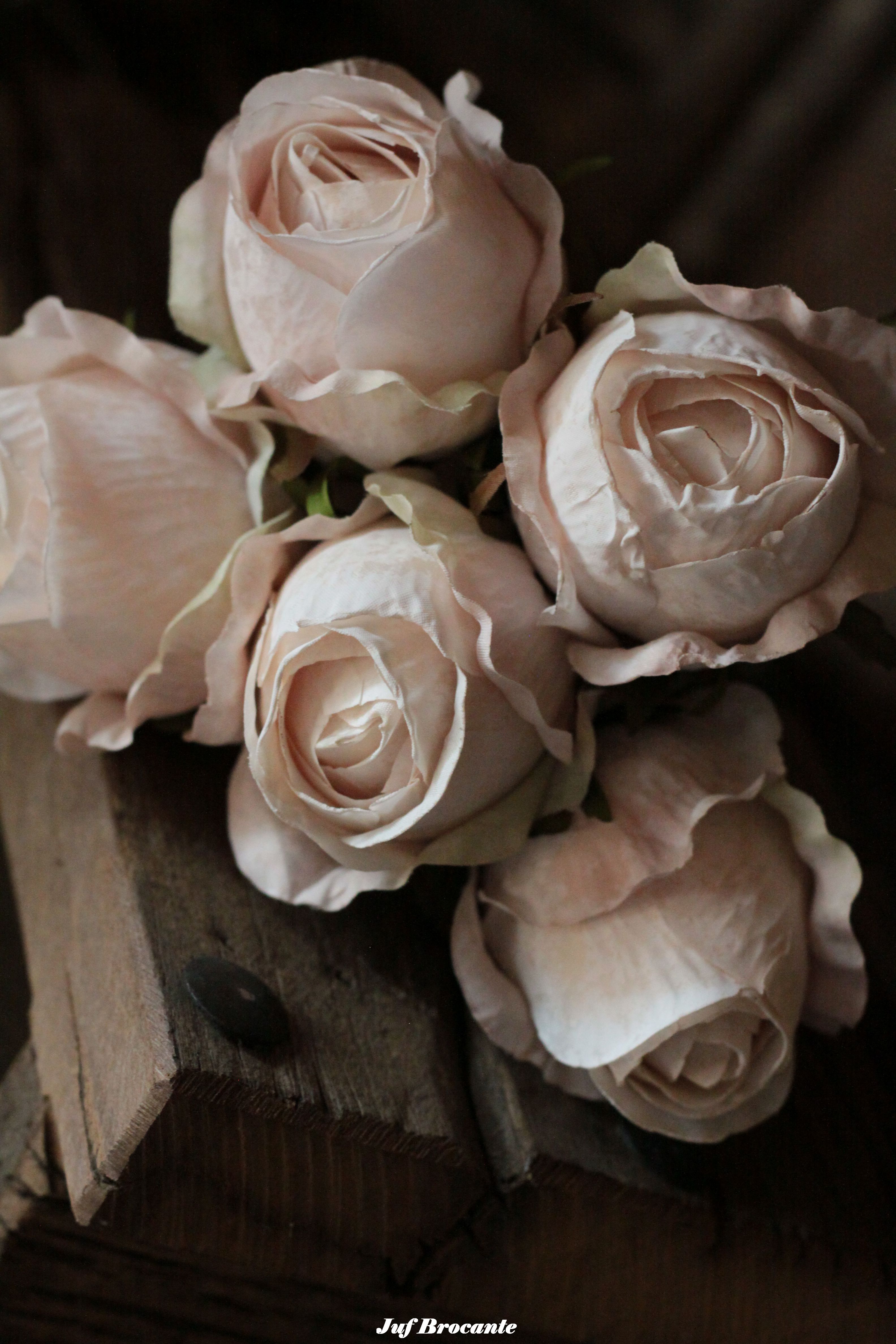 Bos rozen 'rose white'