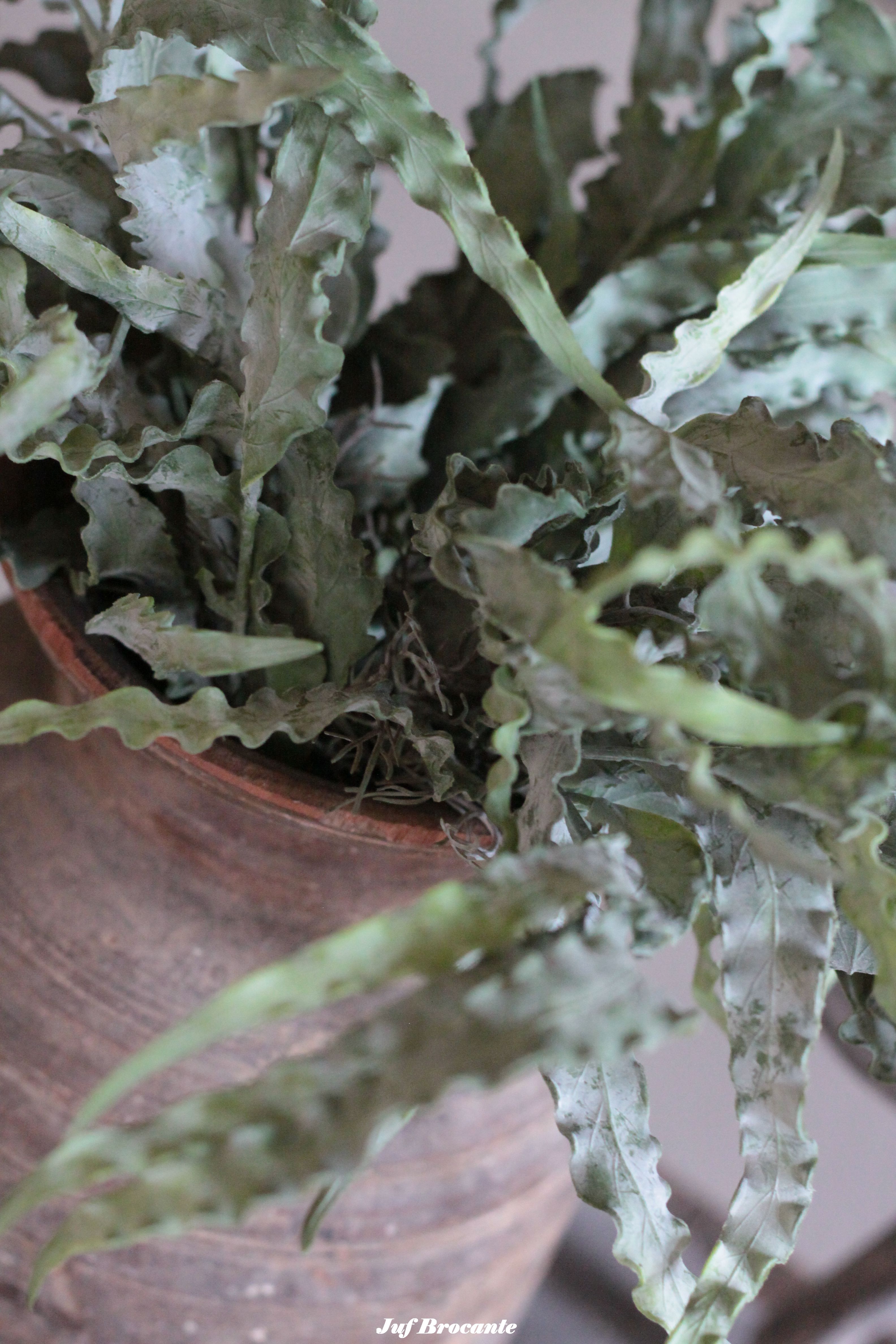 Brynxz eucalyptus bush carved