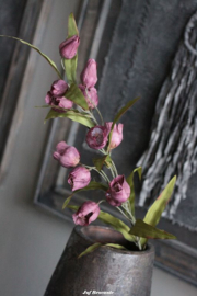 BRYXNZ zijdebloem campanula lila