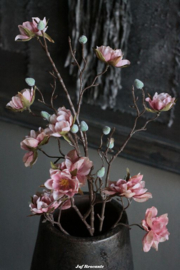 BRYXNZ zijdebloem azalea pink