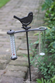 Weerstation vogel gietijzer
