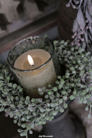 Dadelkrans klein groen