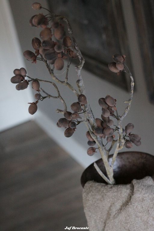 Brynxz Alnus grande brown dadeltak