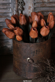Bos waxtulpen roest