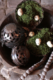 Set mosballen met mos en eitjes