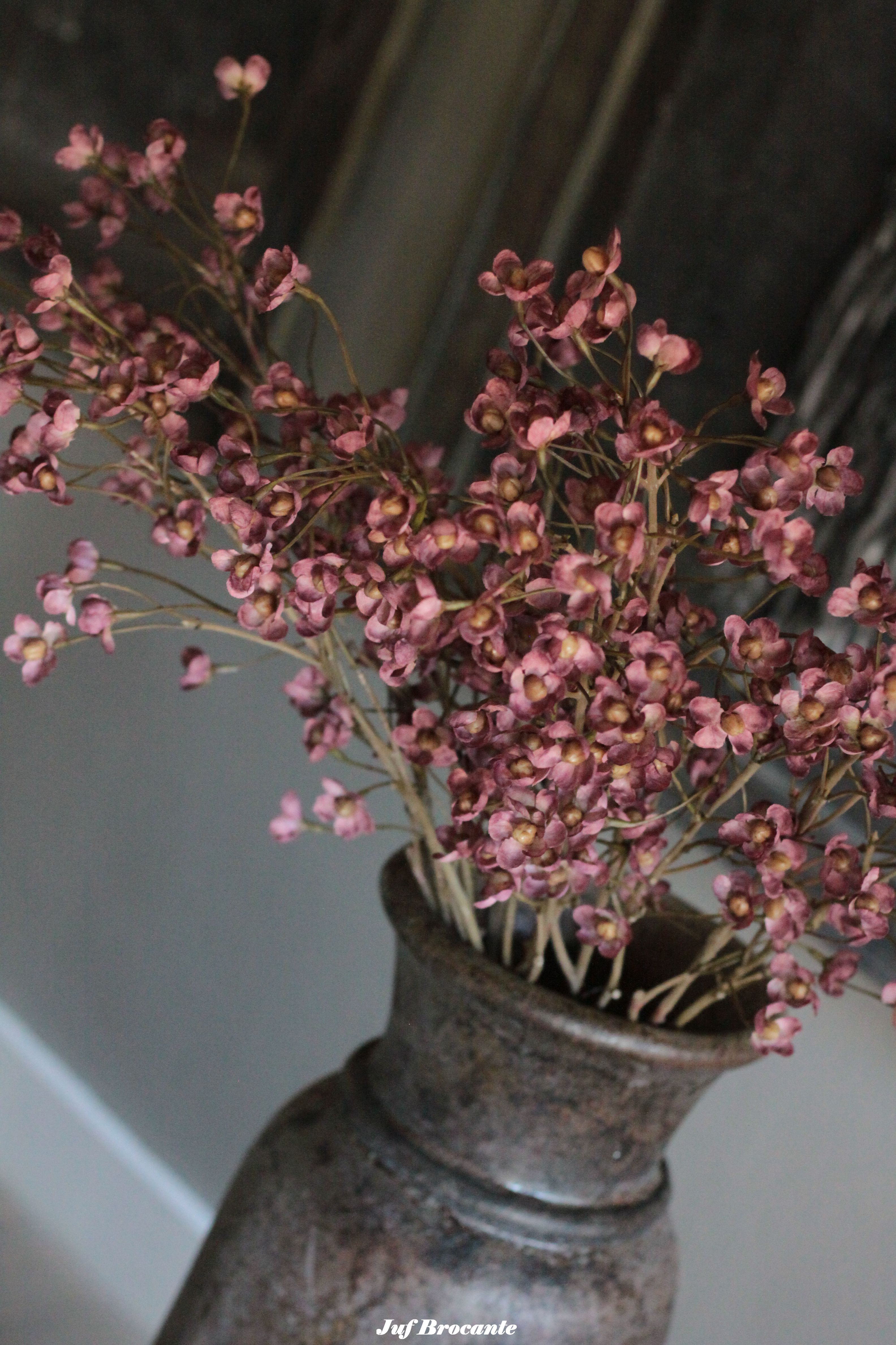 Brynxz Cornis pink