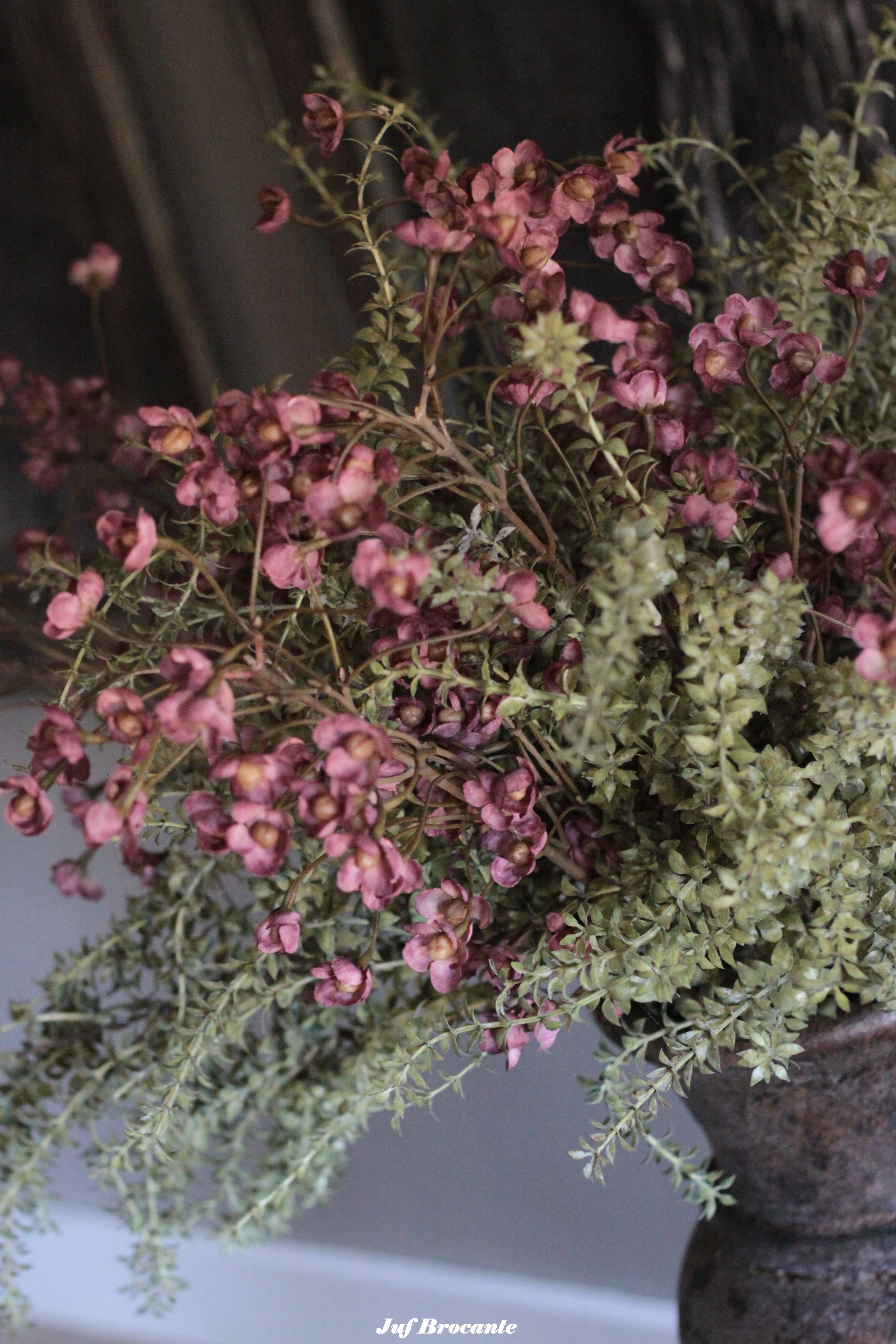 Brynxz Cornis pink