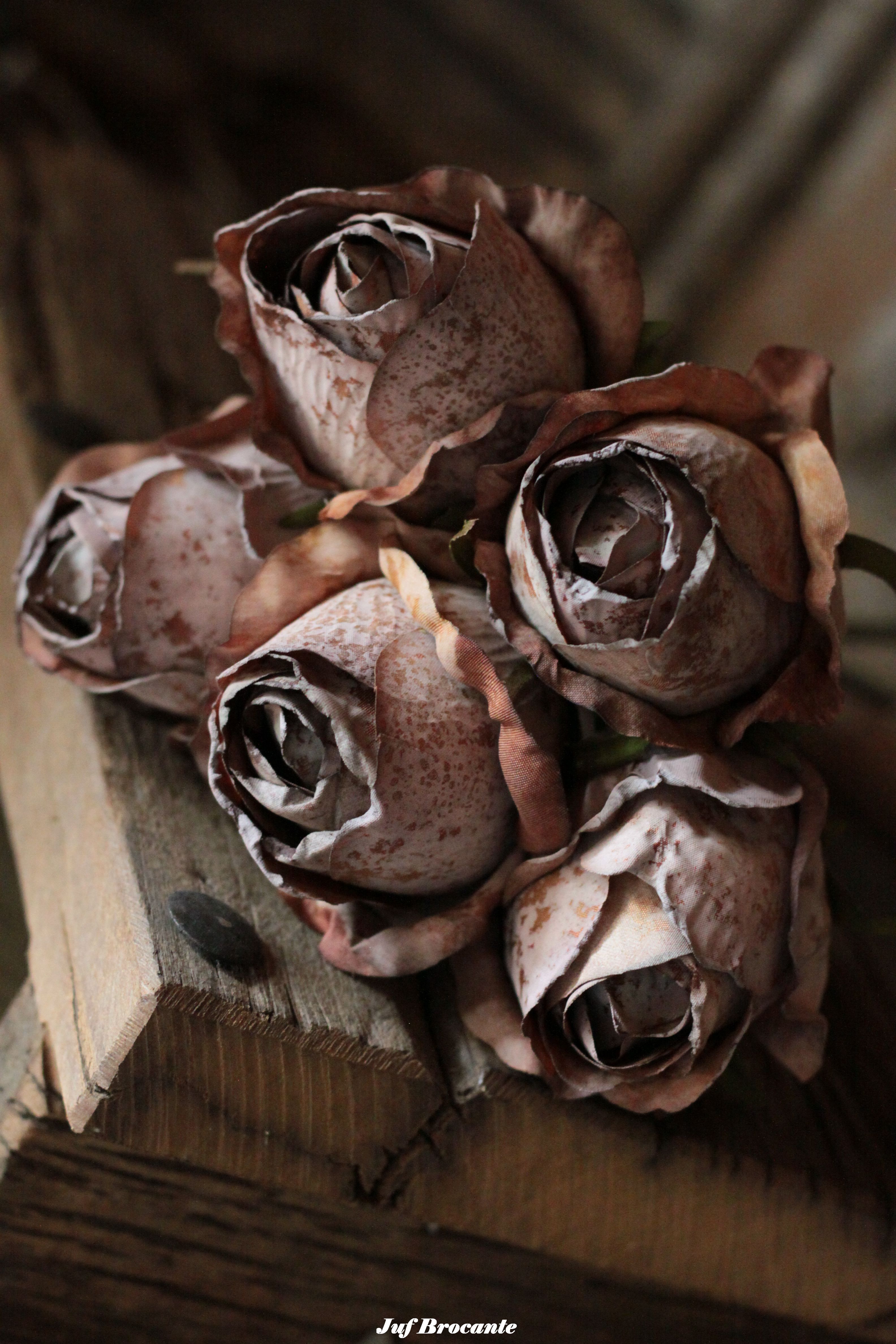 Bos rozen 'cappuccino'