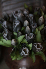 Bos waxtulpen grey