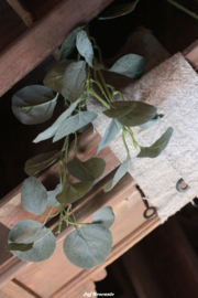 Lange tak eucalyptus (kunst) met vol blad