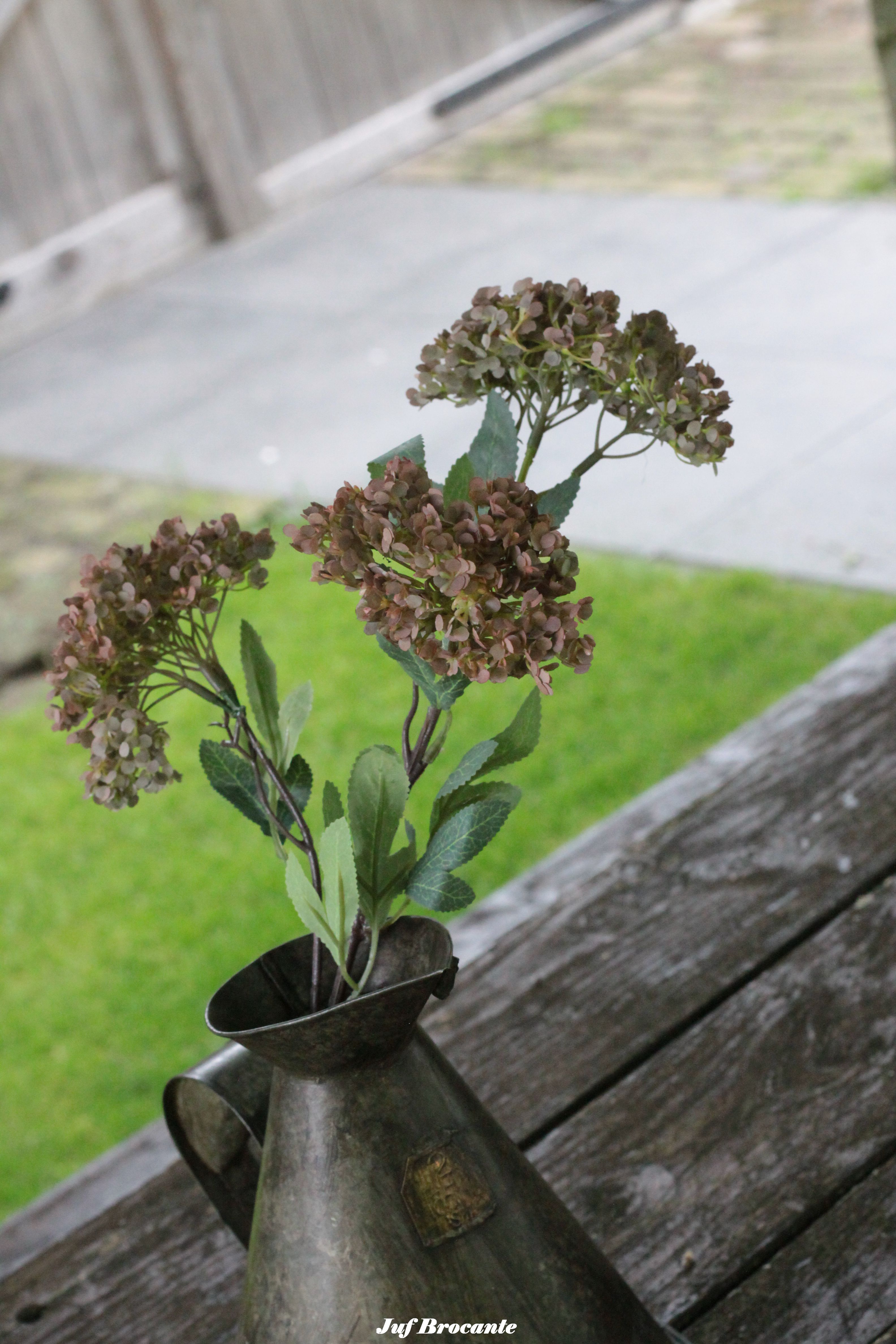 Hydrangea Spray coffee