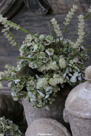Bos wild flower