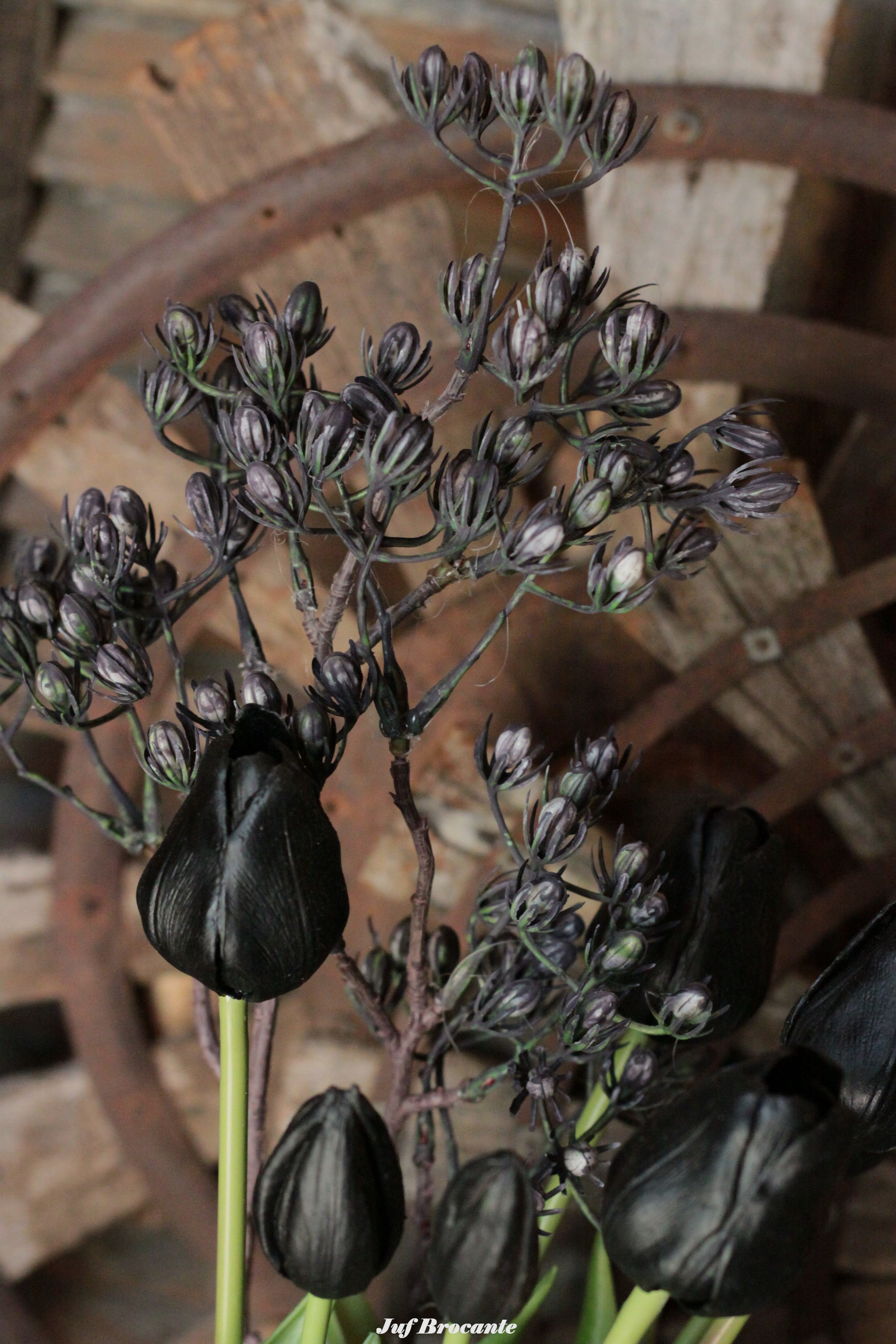 Bellefleur zwart