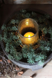 Larix krans