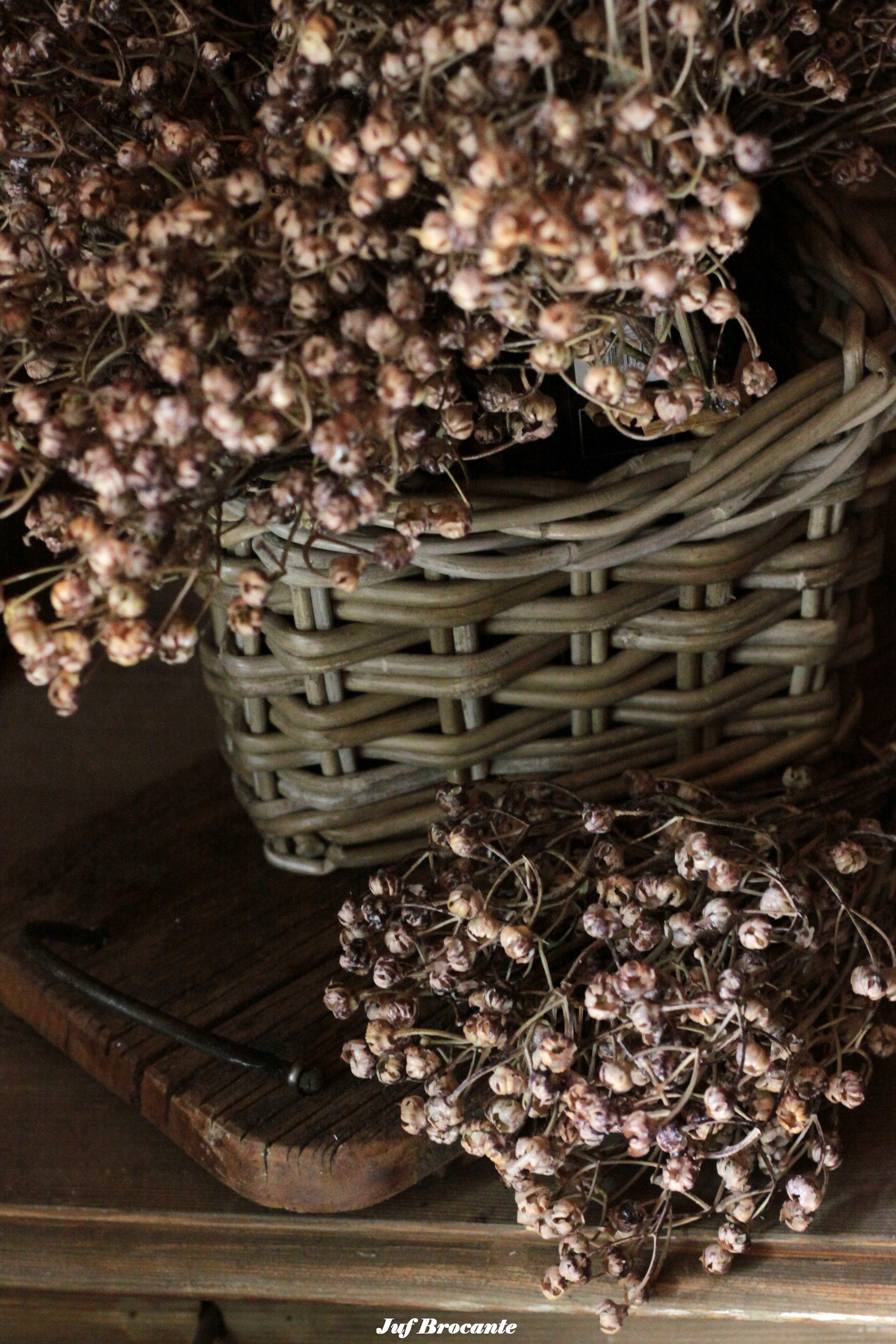 Bosje kunst Ilex serrata bruin