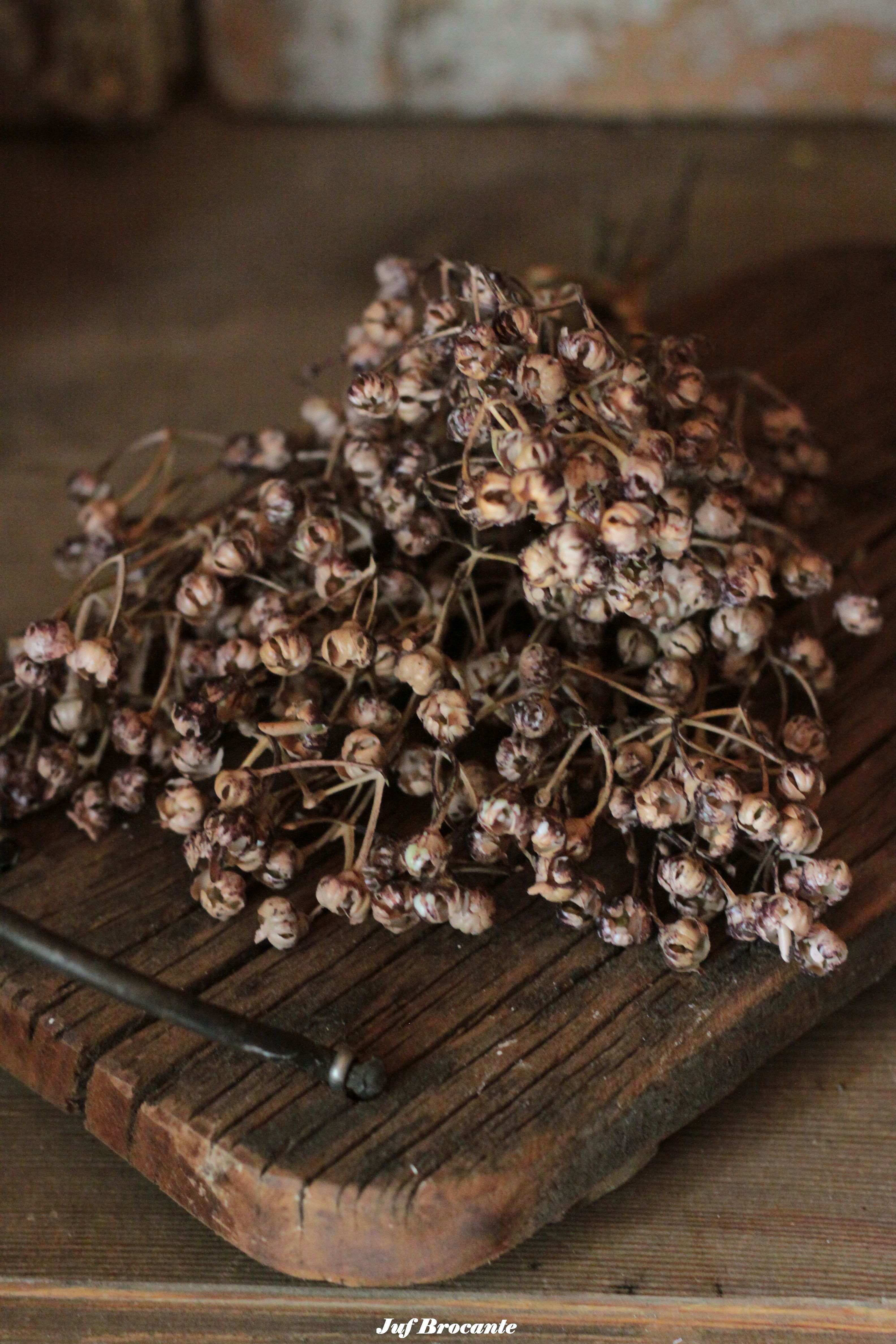 Bosje kunst Ilex serrata bruin