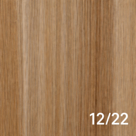 Tape Extensions (Steil) kleur #12/22 (50cm) Ash Blonde/ Hollywood Blonde