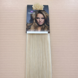 Wax Extensions (Steil) kleur #613 Light Blonde