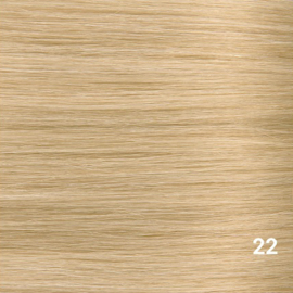 Tape Extensions (Steil) kleur #22