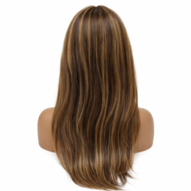 Indian (Shri) Human Hair Front Lace Wig (Steil) #4/27