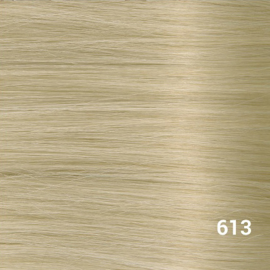 Tape Extensions (Steil) kleur #613