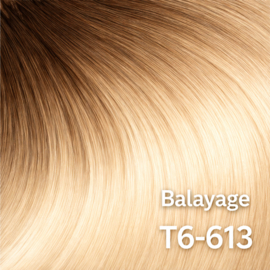 Tape Extensions (Steil) 50cm kleur #T6/613 Ombre Light Chestnut Brown/ Light Middle Blond