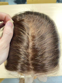 Indian (Shri) Human Hair Front Lace Wig (Steil) #4/27