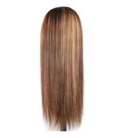 Indian (Shri) Human Hair Front Lace Wig (Steil) #4/27
