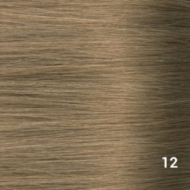 Tape Extensions (Steil) kleur #12