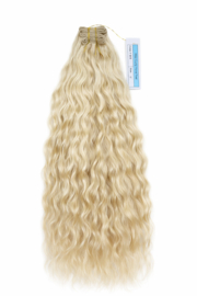 Braziliaans Haar Weave Curly (Blond #613)