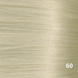 Tape Extensions (Steil) kleur #60