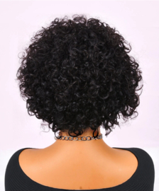 Pixie Bob - Indian (Shri) Human Hair Front Lace Wig - Curly