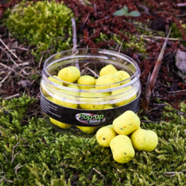 Pop-up Baits DUMBELL WAFTER Creamy Scopex & Hemp 16mm