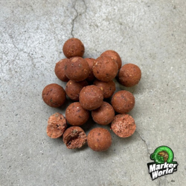 MW Baits Boilies Bloodworm Insect 20mm