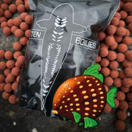 Cuyten Boilies