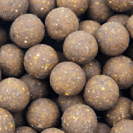 Cuyten Boilies INSECTIONS 5kg