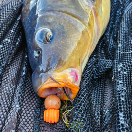 Pop-up Baits GRUB POP-UP Mango & Black Pepper 18x15mm