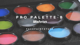 MEHRON, paradise ProPalette - B