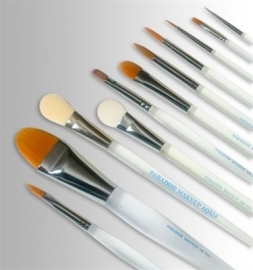 Paradise Makeup Brushes