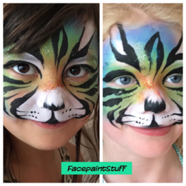 Basic Workshop Facepainting.  26th of Feb, 04,11,18 march . 2024 (4 evenings 19.00-21.00)