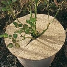 2 stuks kokos isolatie disc Ø37 cm