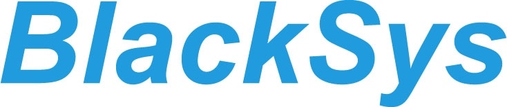 BlackSys logo rgb.jpg