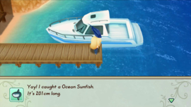 Ps4 Story of Seasons Friends of Mineral Town [Gebruikt]