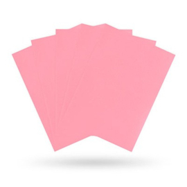 Standard Sleeves - Dragon Shield Matte (100) - Pink [Nieuw]