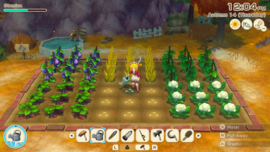 Switch Story of Seasons Grand Bazaar Limited Edition [Pre-Order]