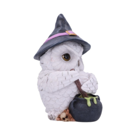 Fantasy Owl Potion 17 cm - Nemesis Now [Nieuw]