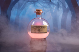 Harry Potter Colour-Changing Mood Lamp Polyjuice Potion 14 cm - Fizz [Nieuw]