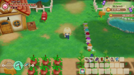 Ps4 Story of Seasons Friends of Mineral Town [Nieuw]