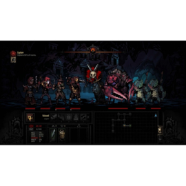 Switch Darkest Dungeon Collector's Edition [Nieuw]