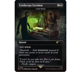 Magic the Gathering Secret Lair x PlayStation: The Last of Us - Part 1 english [Nieuw]